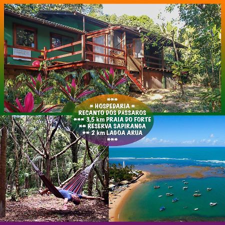 Recanto Dos Passaros Zen Apartamentos Em Meio De Natureza Praia do Forte Exterior foto