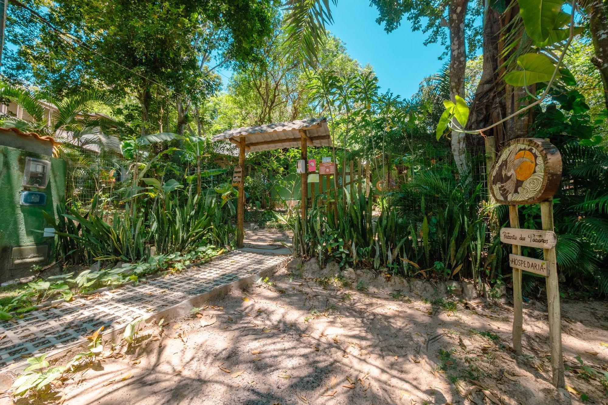 Recanto Dos Passaros Zen Apartamentos Em Meio De Natureza Praia do Forte Exterior foto